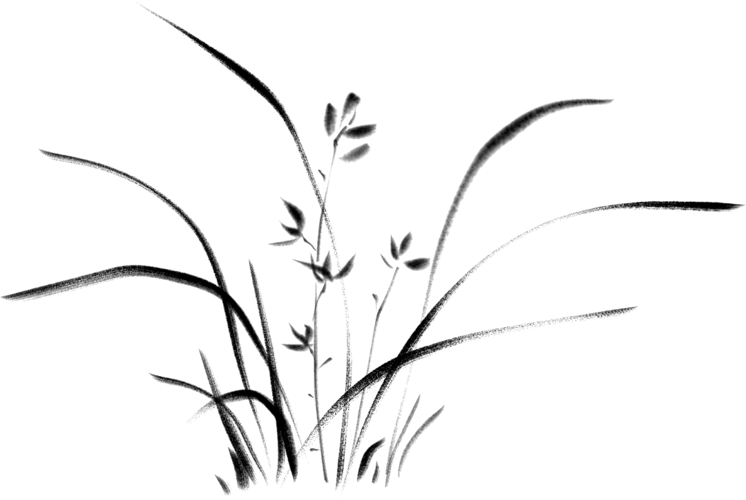 世界中文作文大赛 斯图学子卓越风采 57 图片