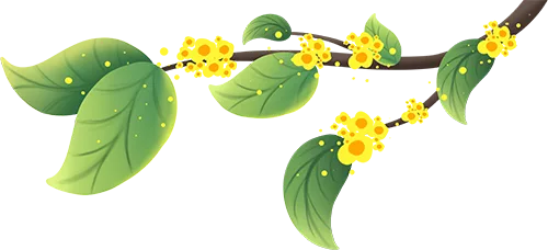 wxsync 2025 10 11376893553cc89a2d42063c914ca635 5