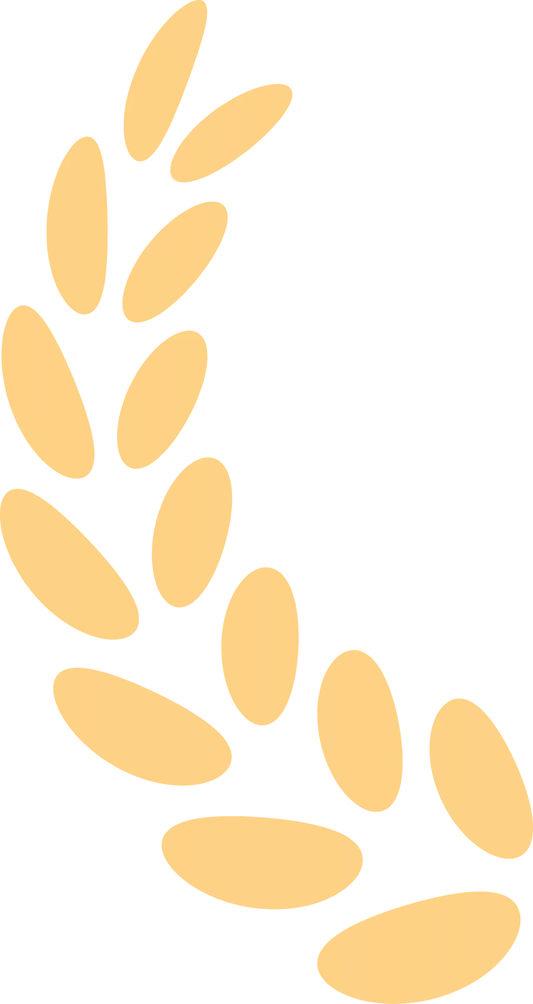 wxsync 2025 10 3002e35b6b34ec65a6e8f5816c663874