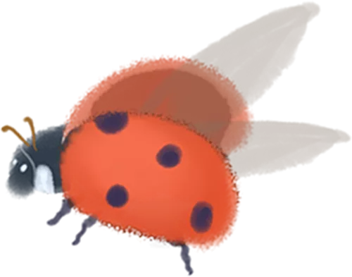 wxsync 2025 10 77338ea09d5dbdf4f15d5ff35c48b683 4