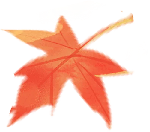 wxsync 2025 10 9022c823683ac572e21b6e73a8c127ab