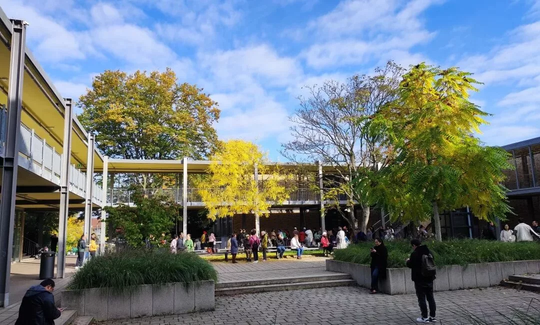 wxsync 2025 10 c3167327aa0bf88527b0116961d22769