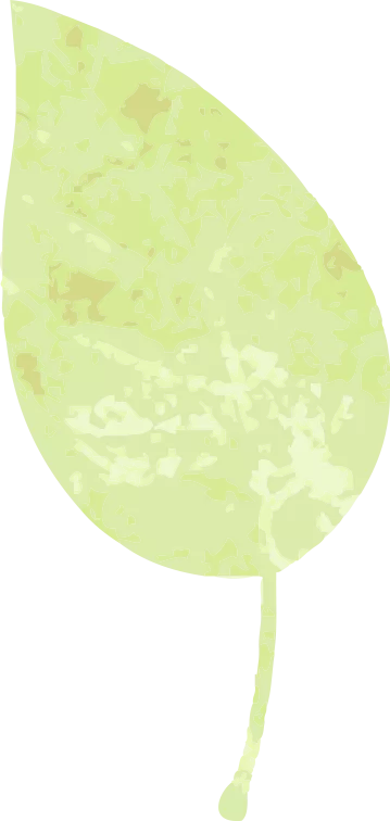 wxsync 2025 10 d891518c47af20ca0b87182736658d28 3